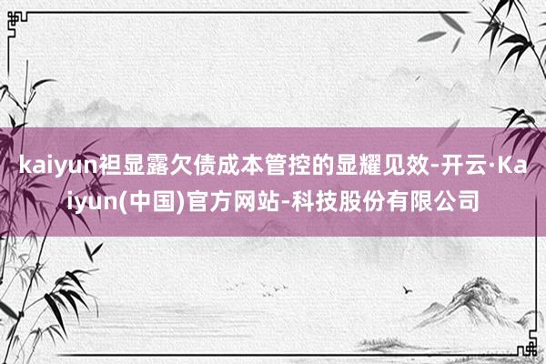 kaiyun袒显露欠债成本管控的显耀见效-开云·Kaiyun(中国)官方网站-科技股份有限公司