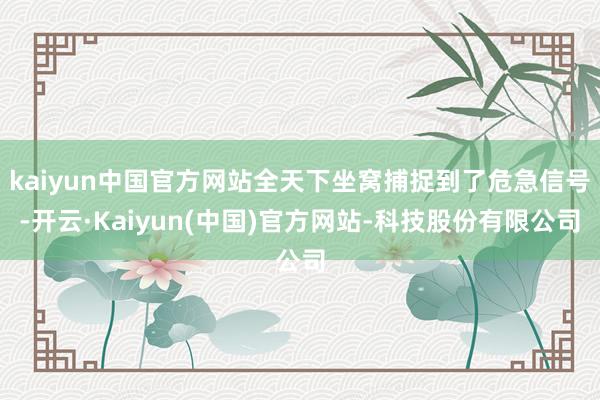 kaiyun中国官方网站全天下坐窝捕捉到了危急信号-开云·Kaiyun(中国)官方网站-科技股份有限公司
